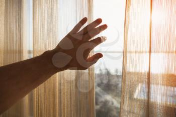 Hand opens tulle on window with morning sunlight outside