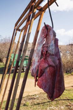 Lungs and the heart of a bull hanging on hook right after the slaughter