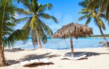 Coconut palms, empty loungers and umbrella are on white sandy beach. Caribbean Sea, Dominican republic, Saona island coast, popular touristic resort
