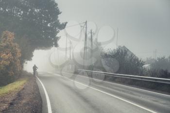 Empty rural rroad in autumn foggy morning, vintage tonal correction effect, old style photo filter
