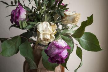 Bouquet of dried red and white roses, closeup low key photo over gray wall background, soft selective focus