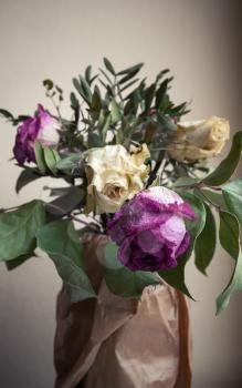 Bouquet of dried red and white roses, closeup vertical low key photo over gray wall background, soft selective focus