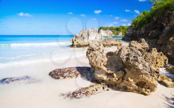 Coastal rocks of Macao Beach, natural landscape of Dominican Republic, Hispaniola