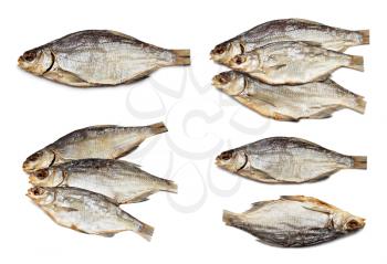 Dried fish set isolated on a white background