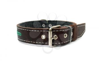 leather animal collar isolated on white