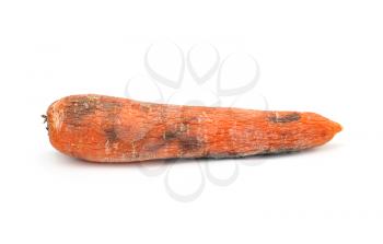 Old carrot isolated on white