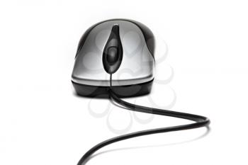 Computer mouse isolated on a white background 