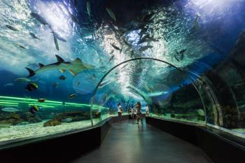 MANILA, PHILIPPINES - MARCH 18: Underwater tunnel on March, 18, 2013, Manila, Philippines. In terms of floor space, oceanarium is larger than oceanarium in Singapore, features a 25-metre  tunnel