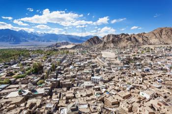 A lot of local houses in the himalayan desert, Leh