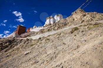 Namgyal Tsemo Gompa in Leh, Ladakh, India.