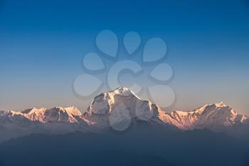Dhaulagiri mountain on sunrise, Poon Hill, Himalaya Nepal