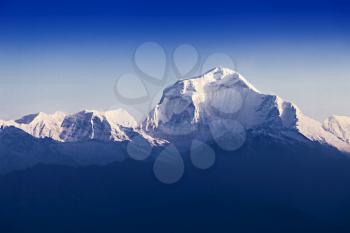 Dhaulagiri mountain at the sunrise, Himalaya