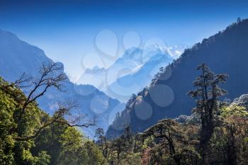 Beautiful landscape in Himalays, Annapurna region, Nepal