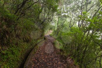 Fantasy world around irrigation canal levada, Madeira Island, Portugal