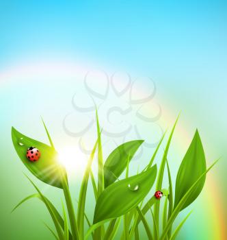 Green grass, plantain and ladybugs with sunrise and rainbow on blue sky. Floral nature spring background