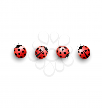 Four lady bugs with shadows on white background