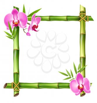 Green Bamboo Frame with Pink Orchid Flowers Isolated on White Background