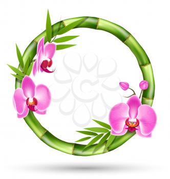 Green Bamboo Circle Frame with Pink Orchid Flowers Isolated on White Background
