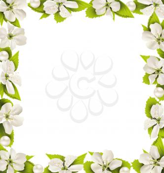 Cherry flowers with pearl beads like frame isolated on white background