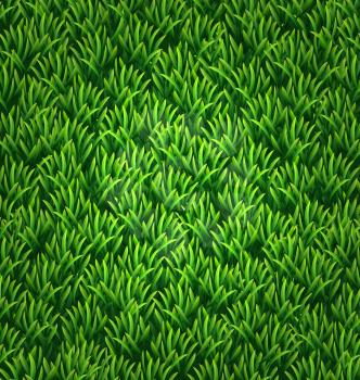 Green grass texture. Floral nature spring green background