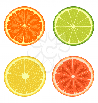 Citrus set isolated on white background