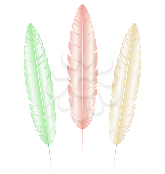 Three multicolored light feathers isolated on white background