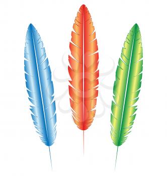 Three multicolored feathers isolated on white background