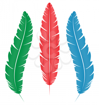 Three multicolored feathers isolated on white background