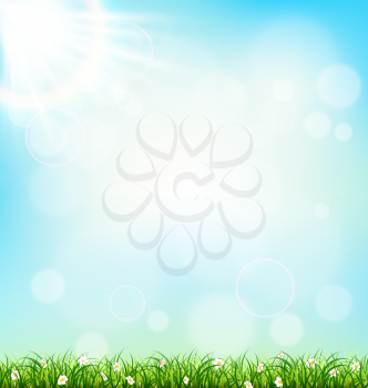 Green grass lawn with chamomiles on blue sky. Floral nature spring background