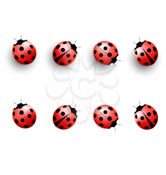 Four lady bugs with shadows and isolated on white background