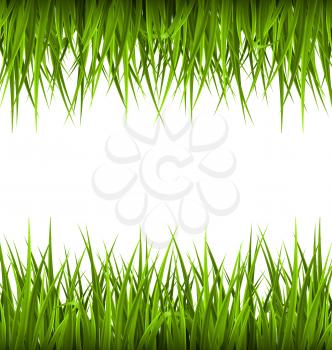 Green grass like frame isolated on white. Floral eco nature background