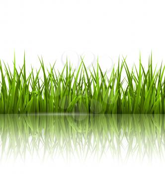 Green grass lawn with reflection on white. Floral nature spring background