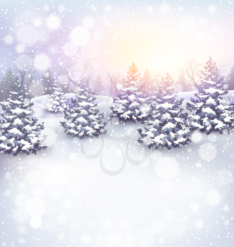 Winter Landscape Background with Christmas Trees in Snow and Sun Light