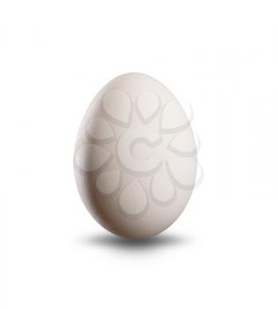White egg isolated over white background