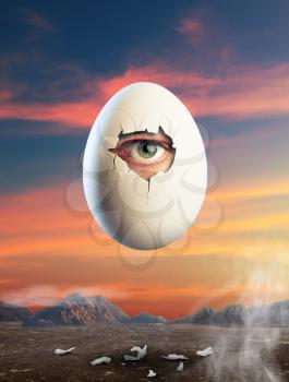 Close-up picture of broken white egg with eye inside