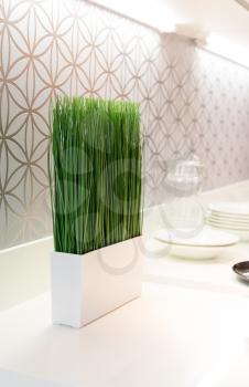 White ceramic flowerpot with greenery in the room