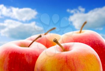 Apples over blue sky. Close-up photo. Fresh fruit.