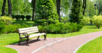 Wooden bench in a spring park