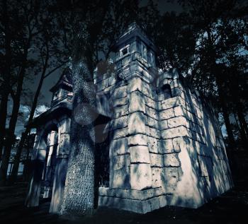 Mystery medieval castle in forest at night