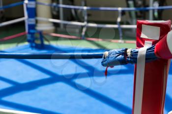 Empty ring geared-up for fight boxers