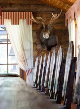 Interior of hunter's house with trophy deer head