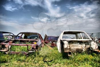 Old cars on the meadow