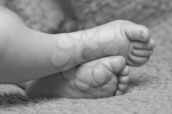 Close-up of sweet sleeping newborn baby feet. In B/W