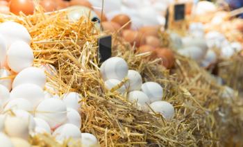 Fresh farm eggs on a straw in market