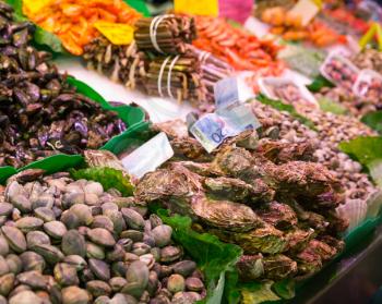 Assorted mollusks on ice in seafood market