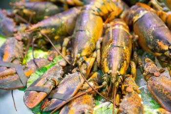 Fresh crayfishes on ice in the market