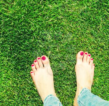 Female bare feet standing on the grass