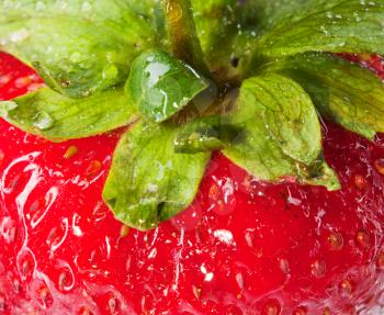 Close-up view of sweet lush ripe strawberry