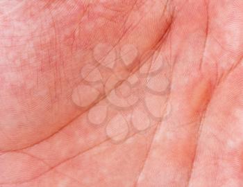 Close-up of human hand. Background or texture