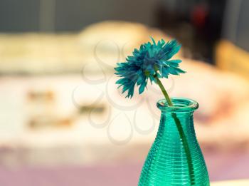 Vase with blue flower with colorful interior closeup